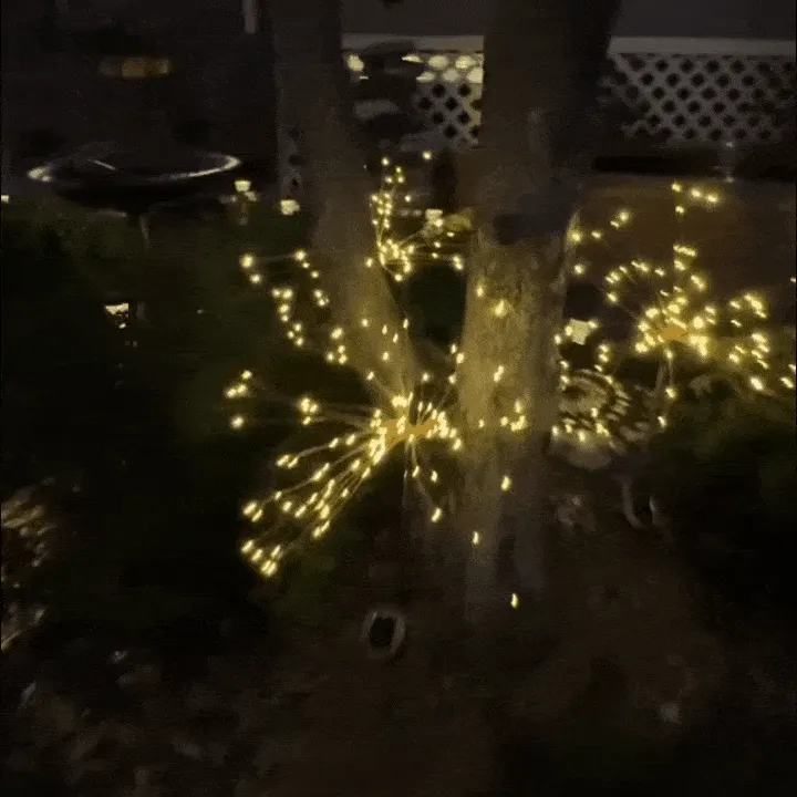 Twinkle fairy lights